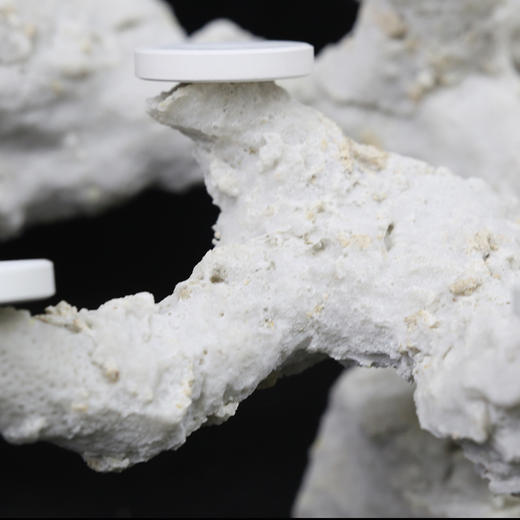 海缸树枝造景 模拟自然质感 商品图5