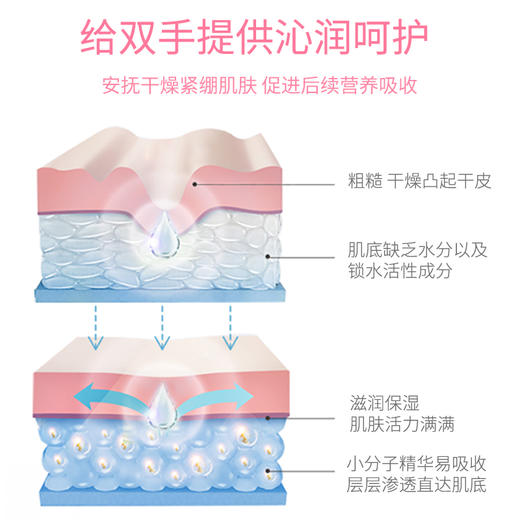 【茶一派】山茶花 倍润护手霜 240ml/瓶 商品图9