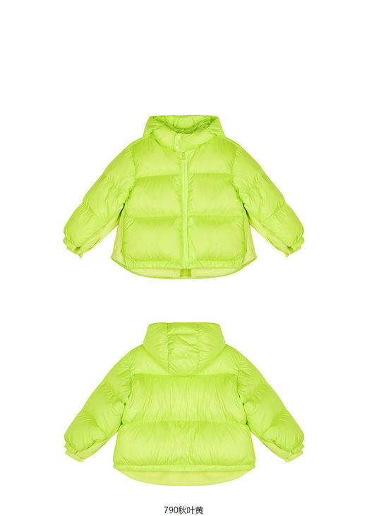 jnby  23年冬款  短款鹅绒服  1N0C12530 商品图6