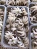 八爪鱼 商品缩略图0