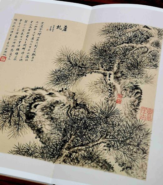 上海博物馆藏碑帖珍本丛刊（第四辑），一函5册+别册，8开，布面六合函套、布面册页装，上海博物馆编，上海书画出版社2021年一版一印，定价：1680，售价：873.6。 商品图11