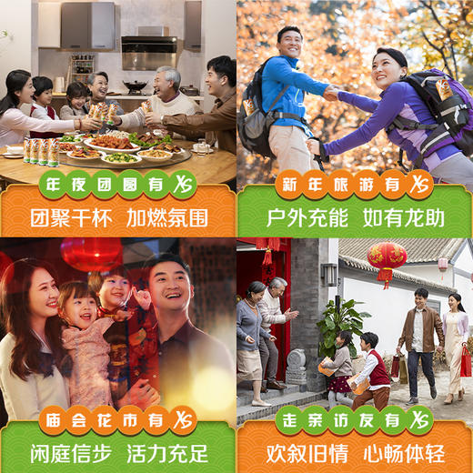 安利XS运动营养饮料柑橘口味 (龙年限量版) [XS龙罐] 商品图3