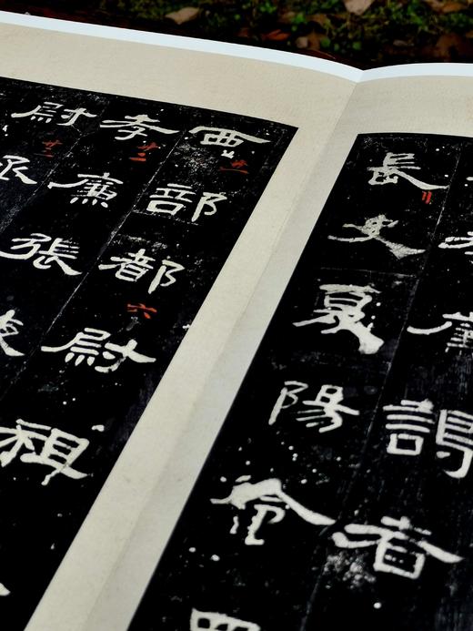 上海博物馆藏碑帖珍本丛刊（第四辑），一函5册+别册，8开，布面六合函套、布面册页装，上海博物馆编，上海书画出版社2021年一版一印，定价：1680，售价：873.6。 商品图6