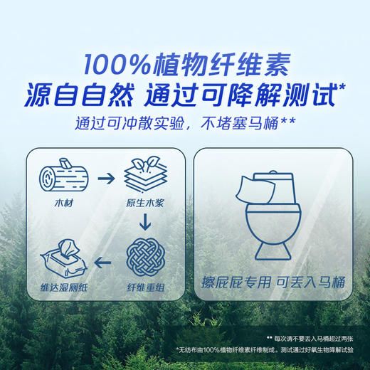 维达家用湿厕巾40片/包 商品图2