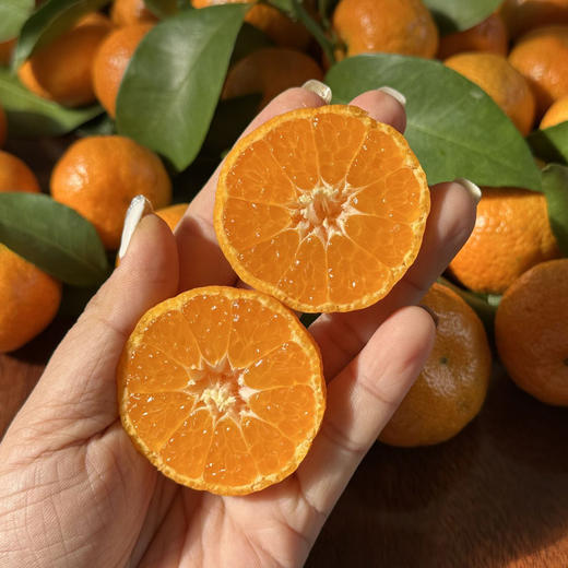 广西砂糖橘，皮薄肉厚，果肉鲜嫩，浓甜化渣！ 商品图1