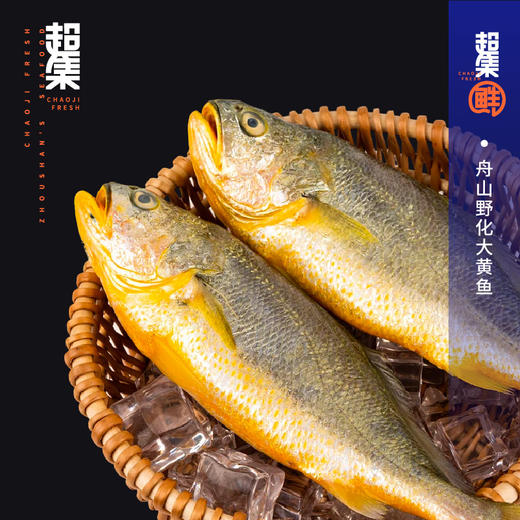 超集鲜舟山大黄鱼礼盒1588型 商品图1