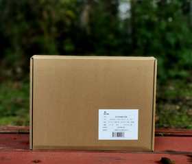 《海外及港台收藏历代佛像》，金申 编著，大16开，精装，620页，上海雅昌全彩精印，上海古籍出版社2023年11月一版一印。定价1280，售价980元。
 