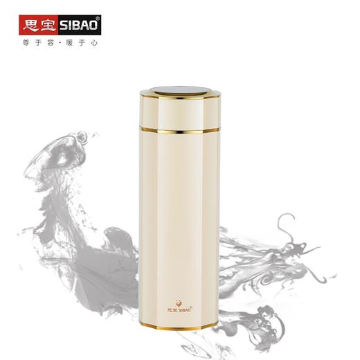 思宝方琮1/2号新品真空保温杯礼盒包装便携车载男女通用内置茶隔 商品图0
