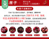 【当季叼果】智利santina车厘子（JD级）/1份（约2.5kg） 商品缩略图4