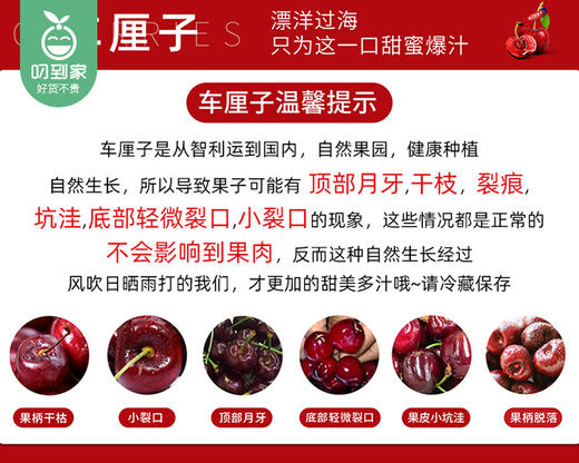 【当季叼果】智利santina车厘子（JD级）/1份（约2.5kg） 商品图4