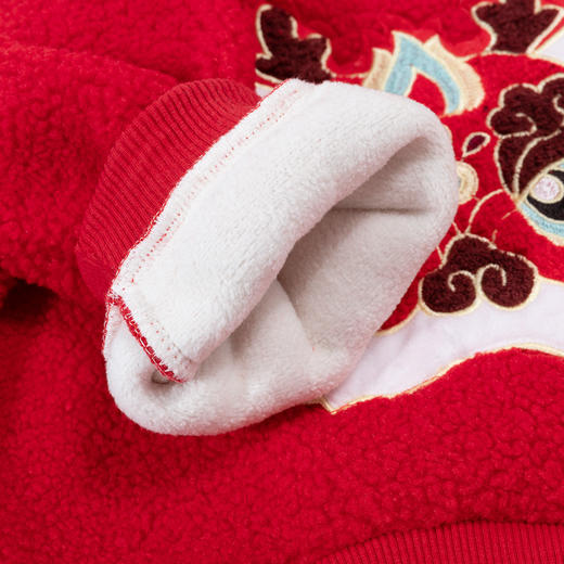 【国潮醒狮】秋冬男童连帽防风上衣中大童羊羔绒保暖百搭拜年卫衣ZB1DS023 商品图8