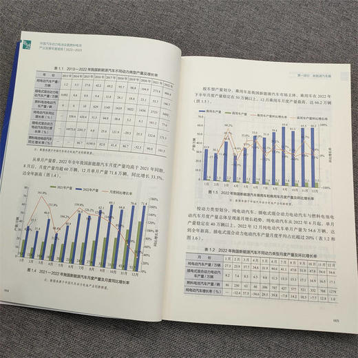 官网 2022-2023年中国汽车动力电池及氢燃料电池产业发展年度报告 国联汽车 新能源汽车动力氢燃料电池产业现状剖析未来预测书籍 商品图4