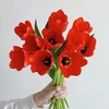 方德辰砂红色郁金香鲜花9支 商品缩略图2
