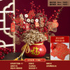【送烫金吊牌 招财纳福花瓶套装】新年乔迁之喜发财果红果福桶摆件春节年宵花抱抱桶客厅装饰盆栽 商品缩略图5