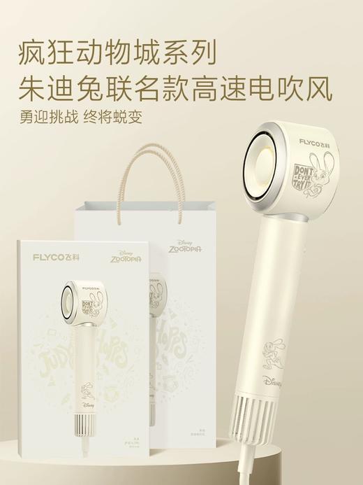 飞科FLYCO   电吹风 FH6372 商品图1