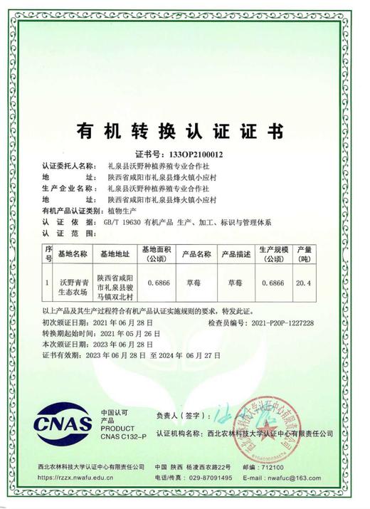 沃野青青*香草莓  净重2.3斤，4盒装 商品图6