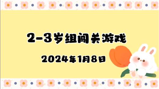 2024.1.8 2-3岁组亲子闯关游戏 商品图0