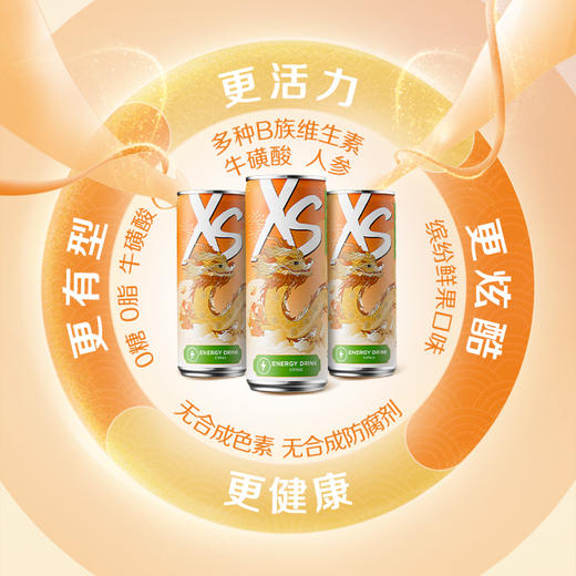 安利XS运动营养饮料柑橘口味 (龙年限量版) [XS龙罐] 商品图2
