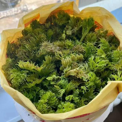 【发货+10元】丨团购·年货节·东北山野菜之母【活体刺嫩芽盆栽礼箱】3斤左右/件（268元）丨山野菜组合6斤左右298元/套丨预计1月25日起开始陆续发货 商品图6