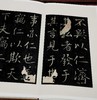上海博物馆藏碑帖珍本丛刊（第四辑），一函5册+别册，8开，布面六合函套、布面册页装，上海博物馆编，上海书画出版社2021年一版一印，定价：1680，售价：873.6。 商品缩略图13