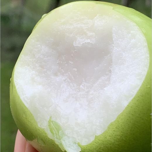 🌹云南苹果牛奶枣，长得一般味道超乎想象，酥嫩滑，一颗几口没了，啃完比吃西瓜还爽有人说她是 “一枣三味”，同时有着枣、苹果、雪梨的味道，像苹果一样清脆、和雪梨一样多汁、还有枣的香味～💚🌹🌹 商品图2