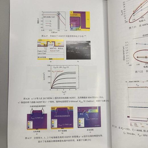 宽禁带半导体功率器件 材料、物理、设计及应用（系统讲解碳化硅SiC和氮化镓GaN功率器件，涵盖从材料特性到器件结构以及应用的整个领域） 商品图4