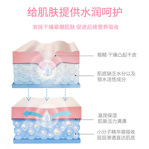 【茶一派】山茶花 保湿身体乳 500ml/瓶 商品图10