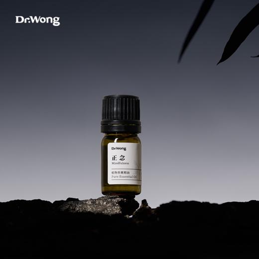 「正念」植物香薰精油-o 商品图4