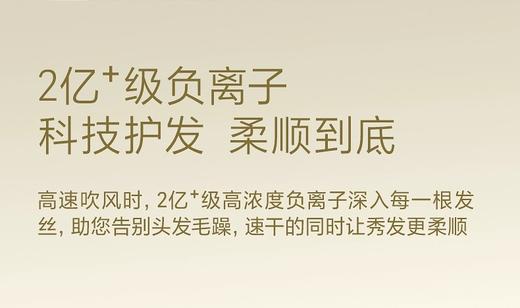 飞科FLYCO   电吹风 FH6372 商品图4