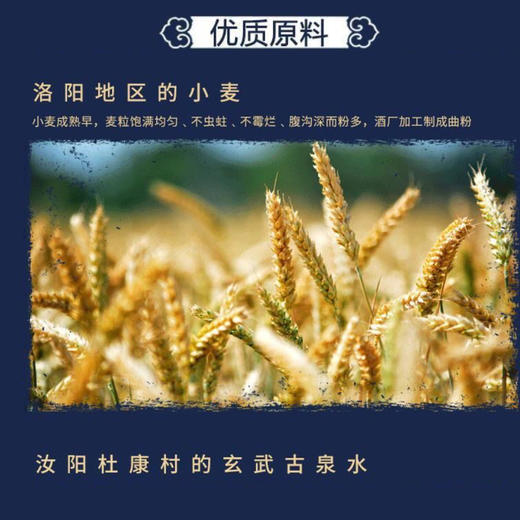 【浓香型】杜康经典8酒｜5酒500ml 52度 商品图3