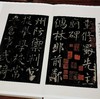 上海博物馆藏碑帖珍本丛刊（第四辑），一函5册+别册，8开，布面六合函套、布面册页装，上海博物馆编，上海书画出版社2021年一版一印，定价：1680，售价：873.6。 商品缩略图12