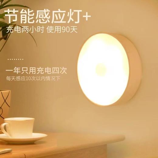 充电人体感应灯 商品图1