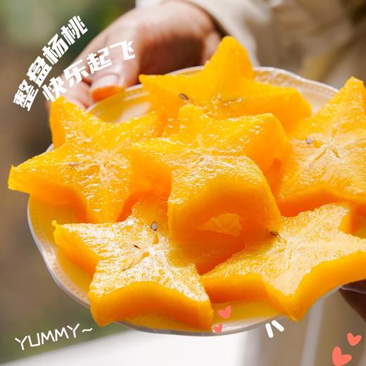 超级补水的星星果！【树上熟·香蜜杨桃】来自杨桃小镇福建云霄下河乡 肉厚汁多超大个 越放越黄果越甜 每箱加赠3-5包杨梅粉 商品图8