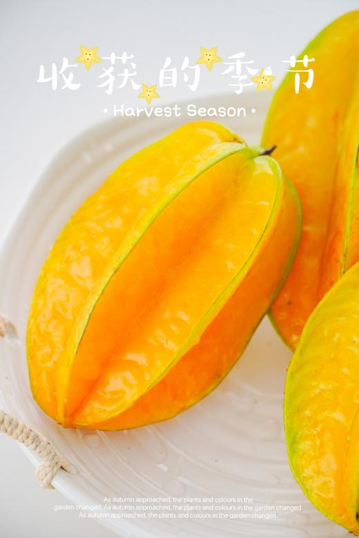 超级补水的星星果！【树上熟·香蜜杨桃】来自杨桃小镇福建云霄下河乡 肉厚汁多超大个 越放越黄果越甜 每箱加赠3-5包杨梅粉 商品图1