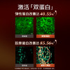 雅萌 ACE六代双蛋白美容仪多功能家用脸部射频仪[福利品] 商品缩略图2