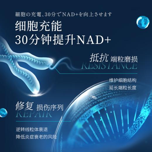 NMN第四代 LIFESUGI 柏生泰，现在都是先下单然后40天左右到仓再发货  目前需要清关发货时效比较久 商品图2