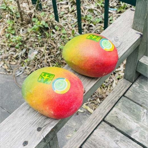 🌹🥭秘鲁空运太阳芒☀️，红艳艳的果子肉质厚实，细腻顺滑，熟透的果子甜香味十足，吃完了还要一直砸吧着嘴巴，太回味太满足了😋🥭🧡🧡 商品图0