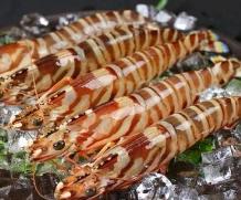 九节虾 商品图0