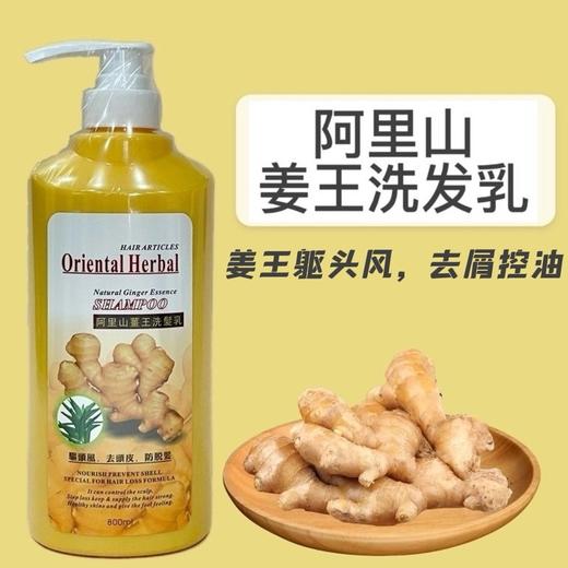 台湾阿里山姜生姜去头屑驱头风滋养洗发水800ml 商品图0