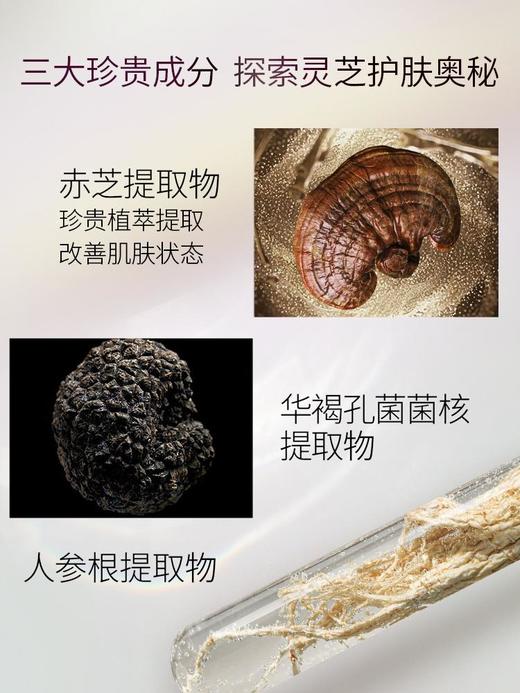 【200元会员福利】美伊娜多缔凡优化灵芝精华美容霜150g   商品图1