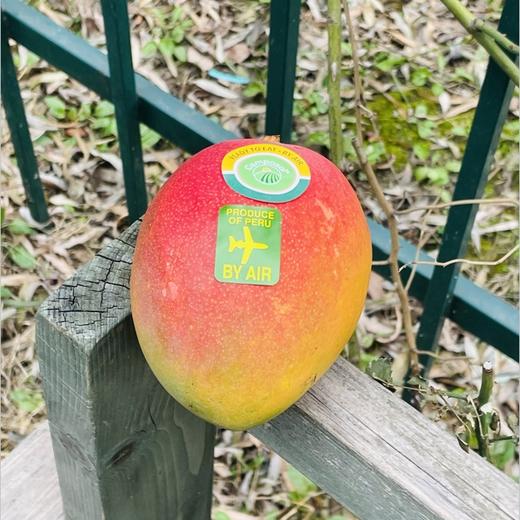 🌹🥭秘鲁空运太阳芒☀️，红艳艳的果子肉质厚实，细腻顺滑，熟透的果子甜香味十足，吃完了还要一直砸吧着嘴巴，太回味太满足了😋🥭🧡🧡 商品图2