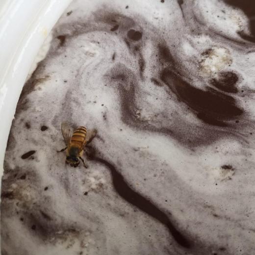 【正宗百花蜜，两瓶包邮，一瓶两斤！】 商品图2