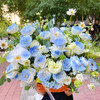 【希望永恒】33支碎冰蓝玫瑰➕19支白玫瑰➕桔梗花➕蝴蝶兰，精品时尚大花篮 商品缩略图0