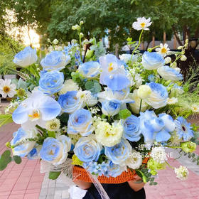 【希望永恒】33支碎冰蓝玫瑰➕19支白玫瑰➕桔梗花➕蝴蝶兰，精品时尚大花篮