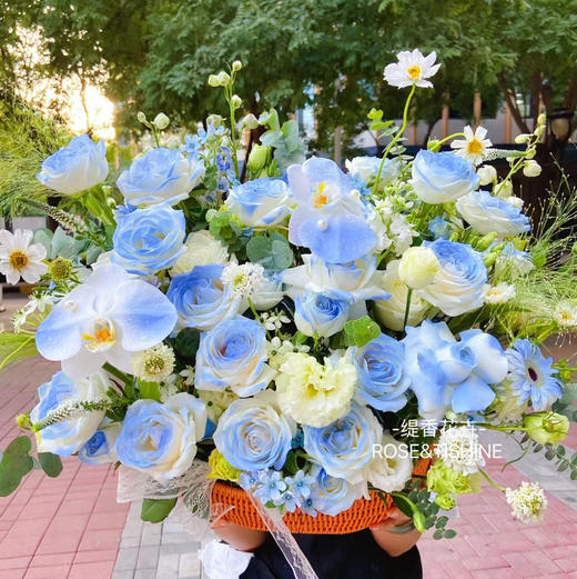【希望永恒】33支碎冰蓝玫瑰➕19支白玫瑰➕桔梗花➕蝴蝶兰，精品时尚大花篮 商品图0