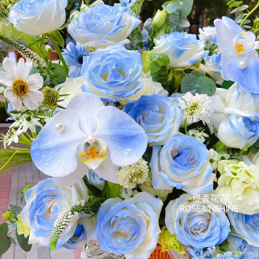 【希望永恒】33支碎冰蓝玫瑰➕19支白玫瑰➕桔梗花➕蝴蝶兰，精品时尚大花篮 商品图3