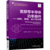 宽禁带半导体功率器件 材料、物理、设计及应用（系统讲解碳化硅SiC和氮化镓GaN功率器件，涵盖从材料特性到器件结构以及应用的整个领域） 商品缩略图0