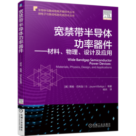 宽禁带半导体功率器件 材料、物理、设计及应用（系统讲解碳化硅SiC和氮化镓GaN功率器件，涵盖从材料特性到器件结构以及应用的整个领域）