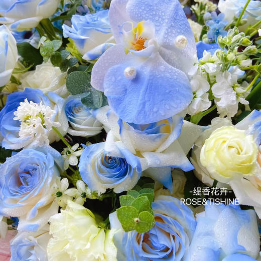 【希望永恒】33支碎冰蓝玫瑰➕19支白玫瑰➕桔梗花➕蝴蝶兰，精品时尚大花篮 商品图2
