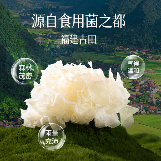 燕之坊 银耳100g 福建古田干货糯小银耳莲子羹汤原材料白木耳雪凝 商品图8